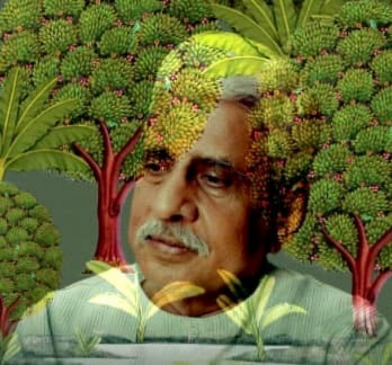 Audio Cover